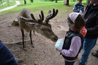 Bergwildpark Meißner-Germerode